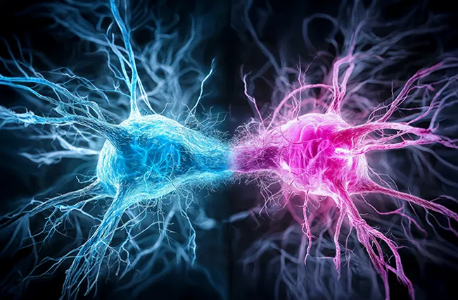 Autonomic nervous representation | Nepute Wellness