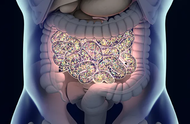 Stwc guthealth | Nepute Wellness