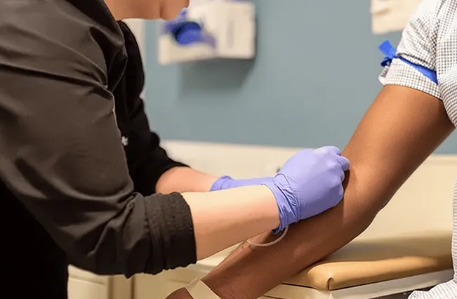 Blood panel | Nepute Wellness